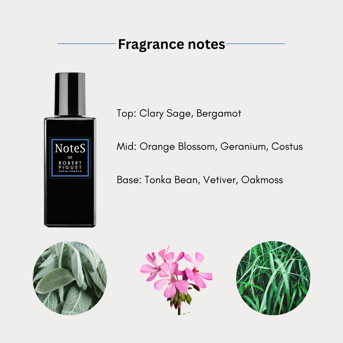 Robert Piguet Notes Eau de Parfum Spray - Aromatic Perfume with Notes of Bergamot, Orange Blossom & Vetiver - Made in France, 3.4 Fl Oz Beauty & Personal Care Robert Piguet