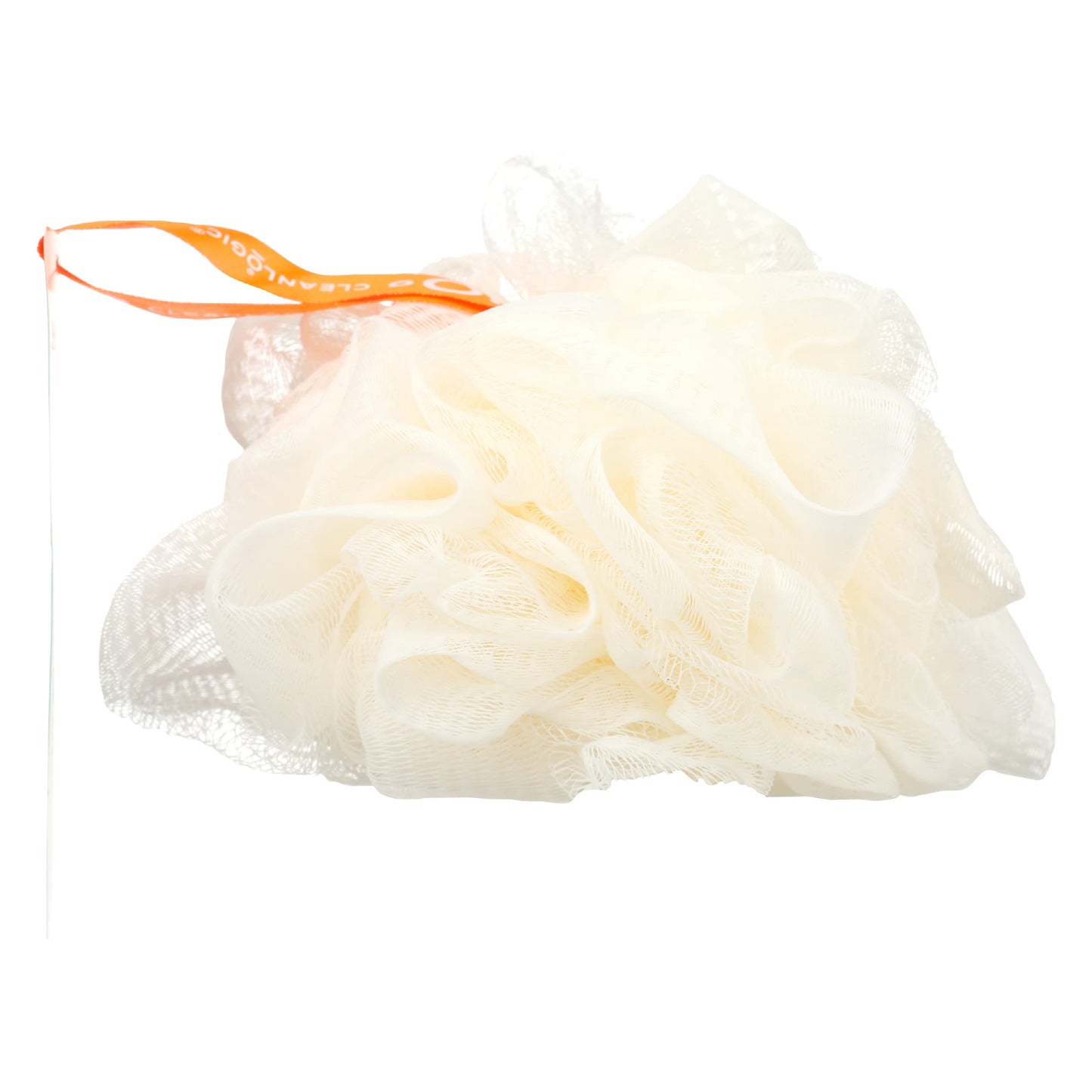 CleanLogic Recycled Mesh Sponge, Certified Organic, 1 Each (Pack of 1) Beauty and Personal Care Cleanlogic