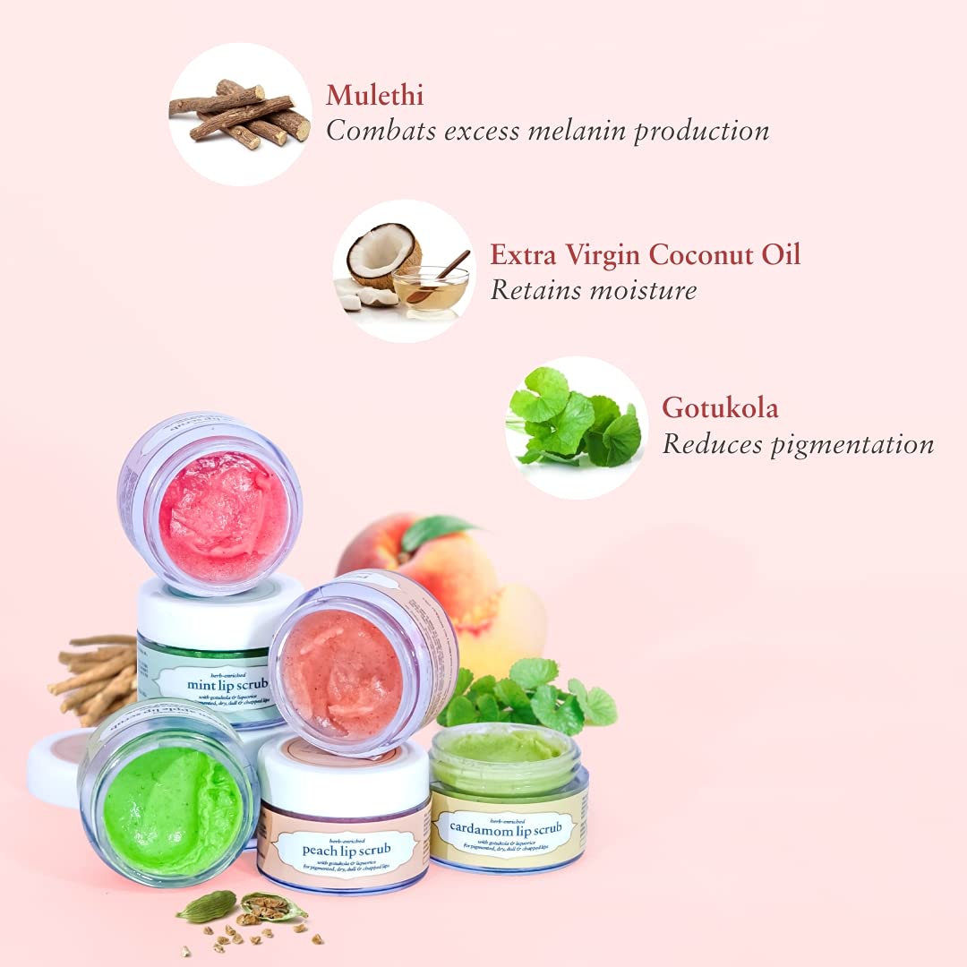 Just Herbs Organic Moisturizing Lip Scrub with Liquorice for Dry, Chapped & Smoker Lips - SLS & Paraben Free, Rose 15gm Beauty and Personal Care Just Herbs