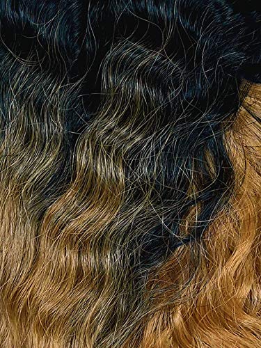 Sensationnel Lulutress Crochet Braiding Hair-Passion Twist 24 Inch,T1B/27