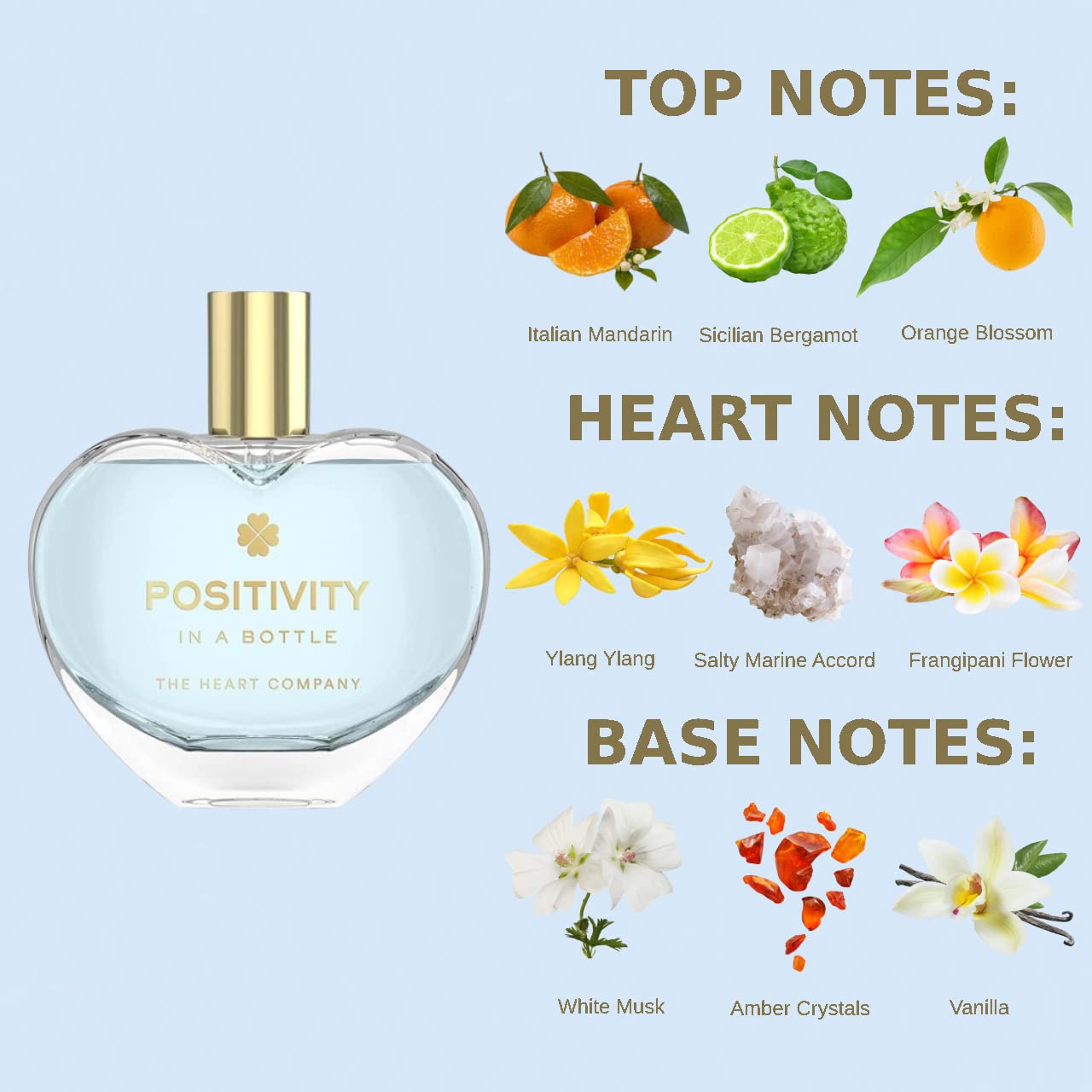 THE HEART COMPANY POSITIVITY in a bottle | Fresh Perfume for women | Vegan Gifts for women | Women's Eau de Parfum Spray 75ml - 2.5 fl oz. Beauty & Personal Care THE HEART COMPANY