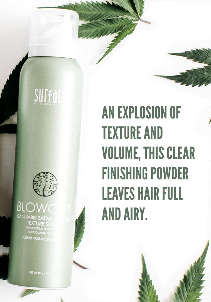SURFACE Hair Blowout Hair Texture Spray for Women and Men, 4 oz - Heat Protecting, Volumizing Spray Lychee and Maracuja Oil - Premium Blowout Hair Beauty & Personal Care SURFACE