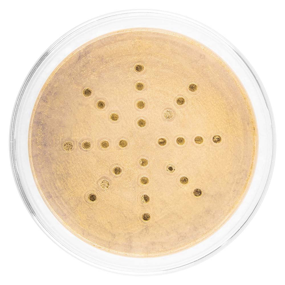 SHANY HD Finishing Powder Translucent - Paraben Free - FLAWLESS TOUCH Beauty & Personal Care SHANY