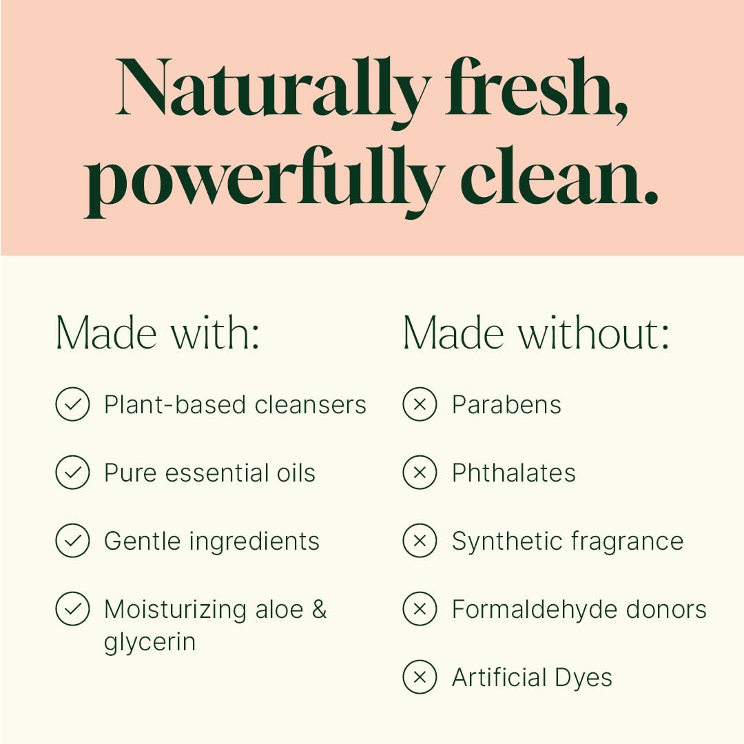Plant Therapy Home Germ Fighter Foaming Hand Soap Refill 32 oz, Naturally Scented with Pure Essential Oils, Gentle for Everyday Use, Enough for Four 8 Beauty & Personal Care Plant Therapy