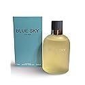 Secret Plus BLUE SKY FOR MEN Eau de Parfum - 3.4 Fl Oz Beauty & Personal Care Secret Plus