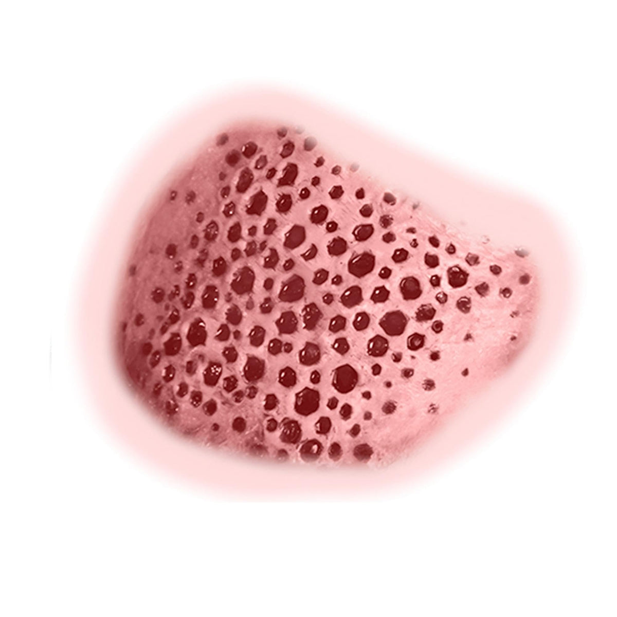 Trypophobia 3D Temporary Tattoo Tinsley Transfers - Large