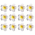 12PCS Women Girls 2.36" Hawaiian Hawaii Bohemia Style Plumeria Foam Flower Hair Clips Decoration Hair Barrette Hairpin For Bridal Wedding Party Beach Beauty & Personal Care Elandy