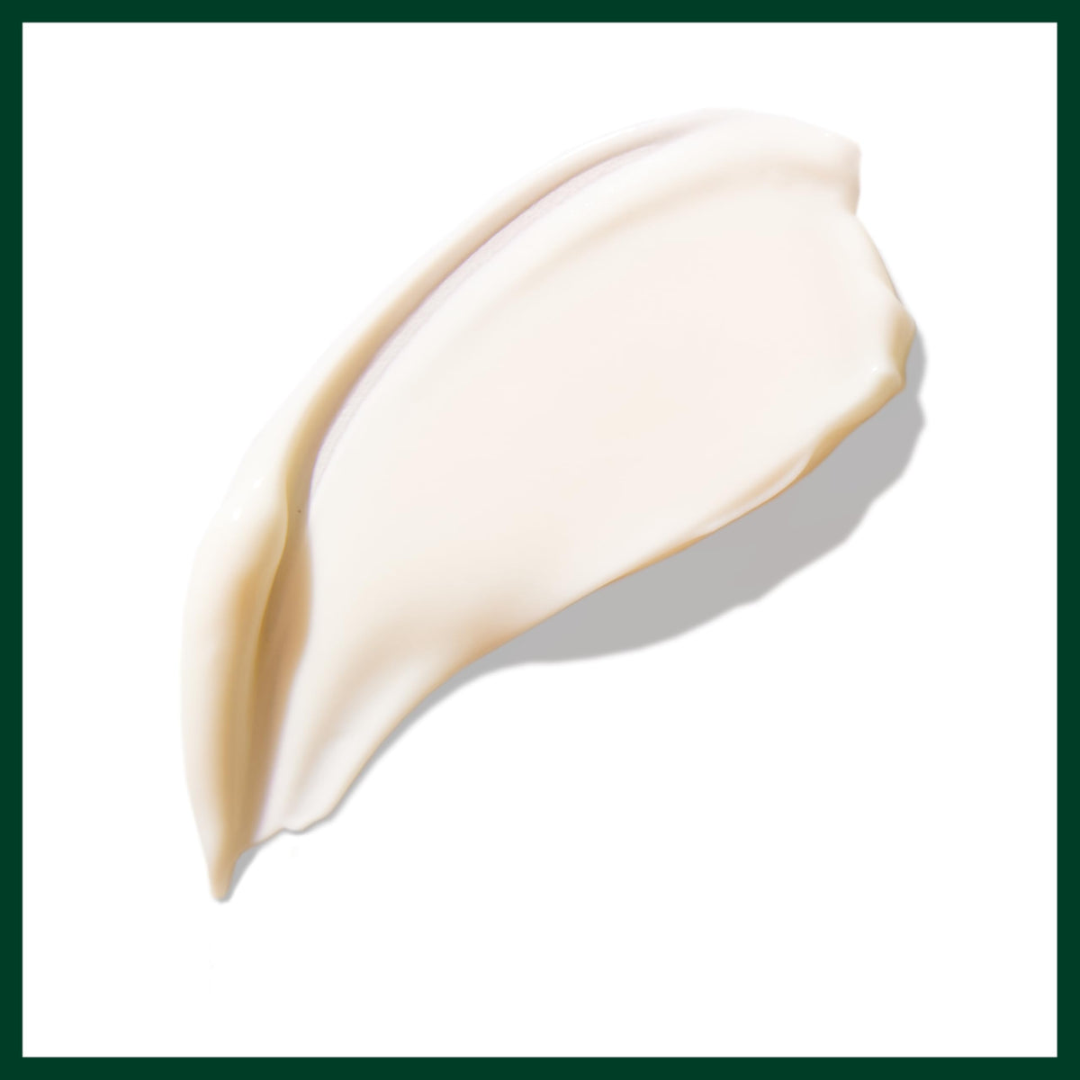Aveda Botanical Kinetics Intense Hydrating Soft Creme | Face Cream for All Skin Types | with Cupuaçu Butter, 1.7 Fl Oz Beauty & Personal Care Aveda