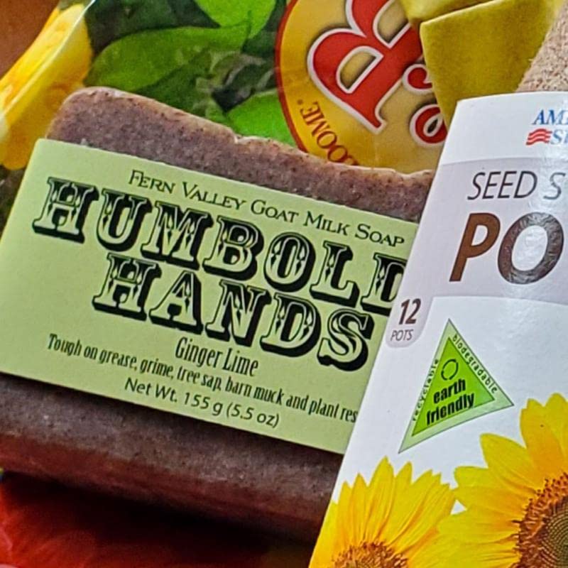 HH BAR SOAP GINGER&LIME Beauty & Personal Care Fern Valley Soaps