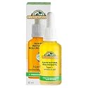 Corpore Sano Musk Rose Oil with Sweet Almonds Oil/Aceite de Rosa Mosqueta con Aceite de Almendras Dulces Nourishes & Revitilizes the Skin .Certified Beauty & Personal Care Corpore Sano
