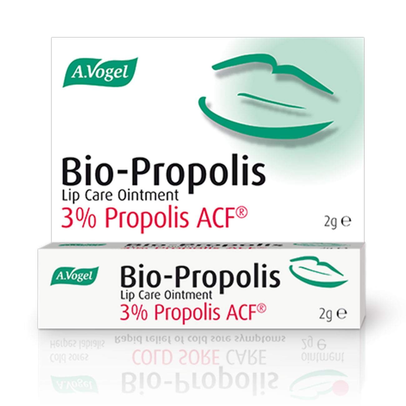 A.Vogel Natural Bio-propolis Lip Care Ointment 0.07oz Beauty and Personal Care A.Vogel
