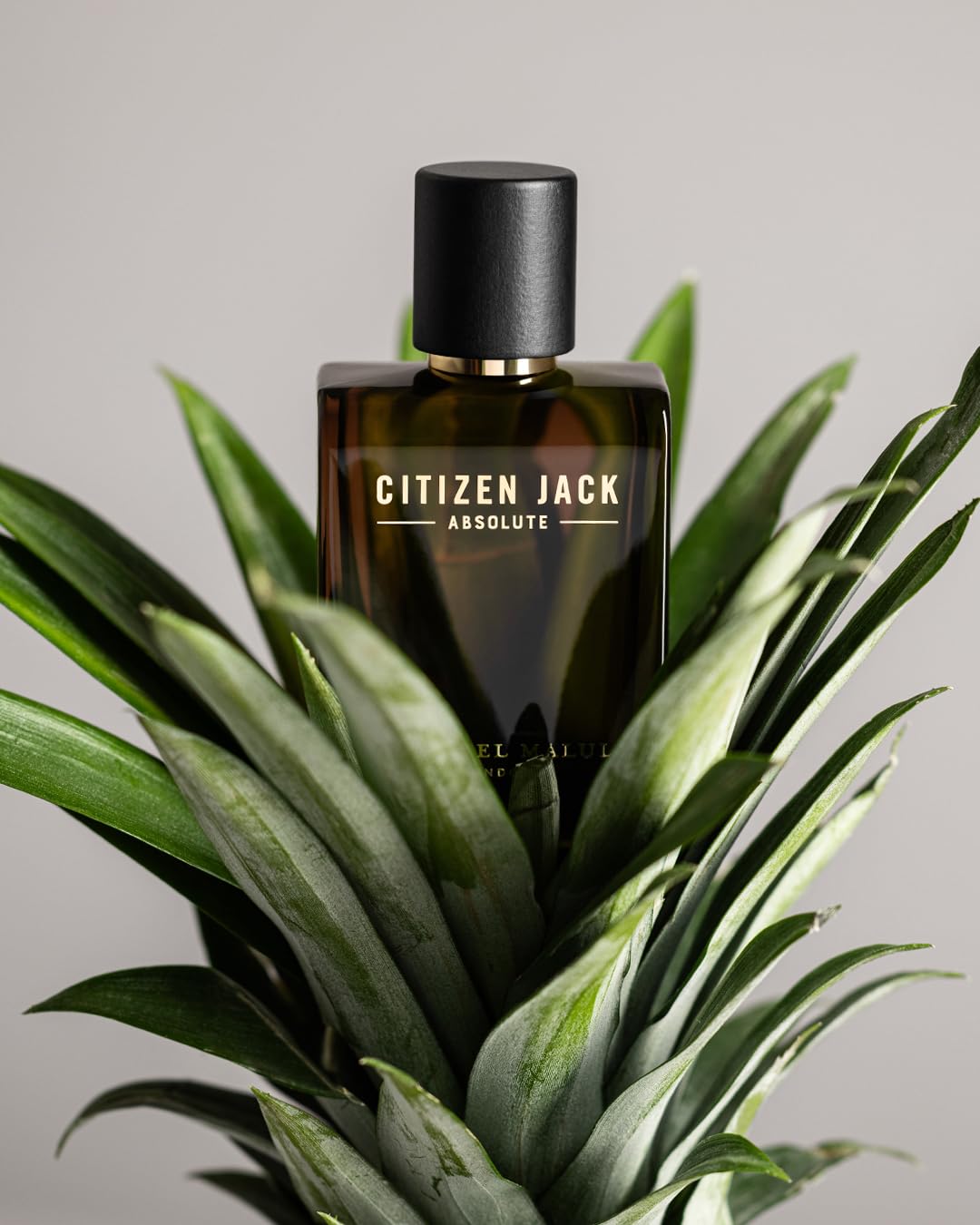 Michael Malul Citizen Jack Absolute Eau de Parfum for Men (0.34 Fl Oz (Pack of 1)) Beauty & Personal Care Michael Malul