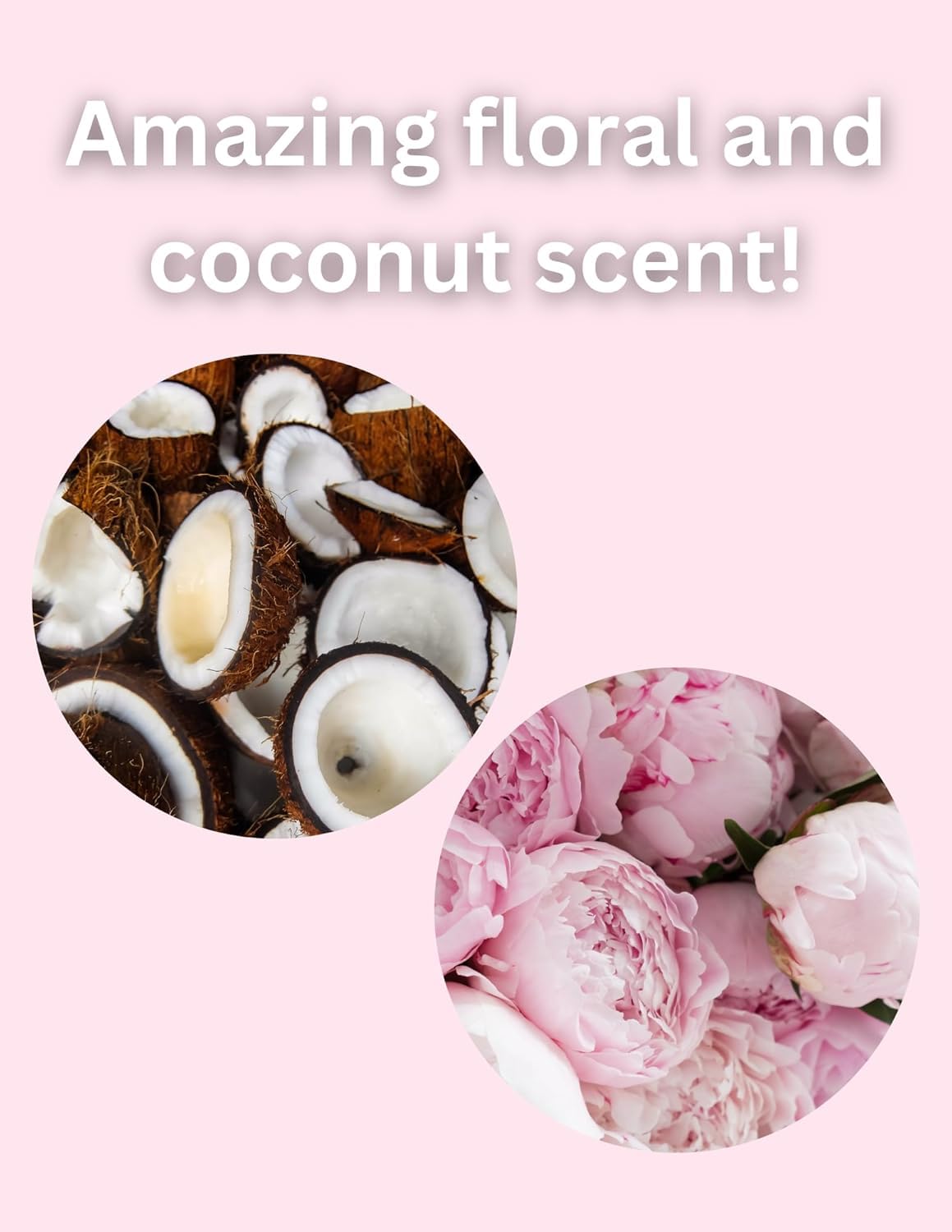 Power Stick Aluminum-Free Peony and Coconut Deodorant (3 EA 2.5 oz) Beauty and Personal Care power stick