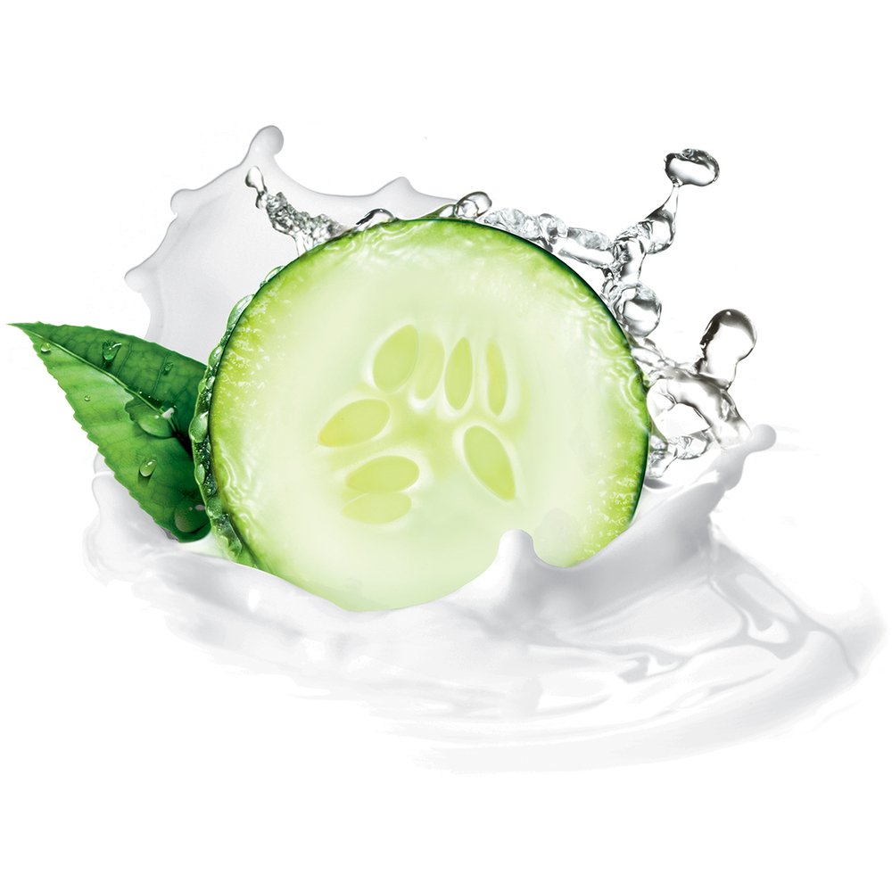 Dove Cool Moisture Cucumber & Green Tea Scent Body Wash 12 oz (Pack of 6) Beauty & Personal Care Dove