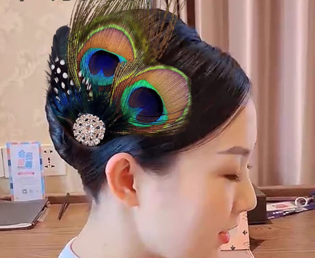 Aliotech Beautiful Butterfly Peacock Feather Hair Clip Pins with Rhinestones,Feather Hair Clip Pin Bridal Wedding Dance Party Hair Accessory Beauty & Personal Care Aliotech