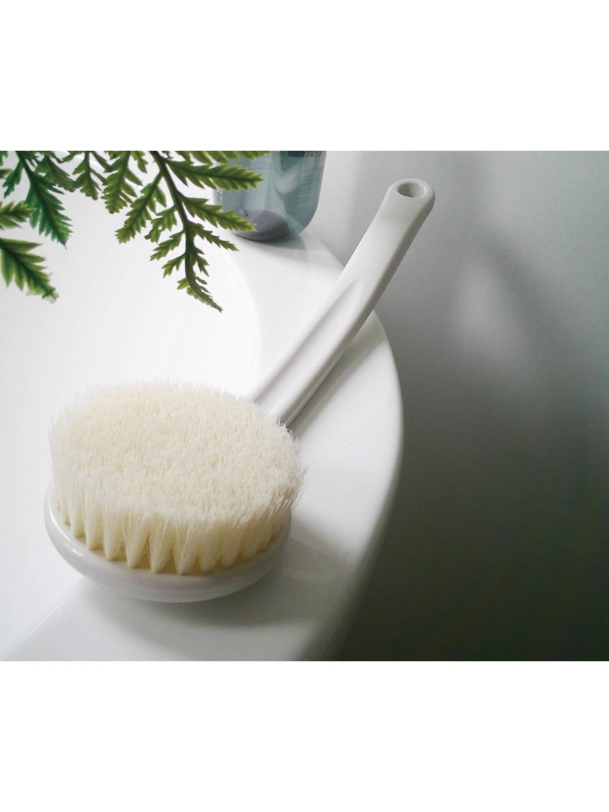 OHE Body Brush, Approx. 14.6 x 3.3 x 2.0 inches (37 x 8.5 x 5 cm), amois White Beauty and Personal Care OHE