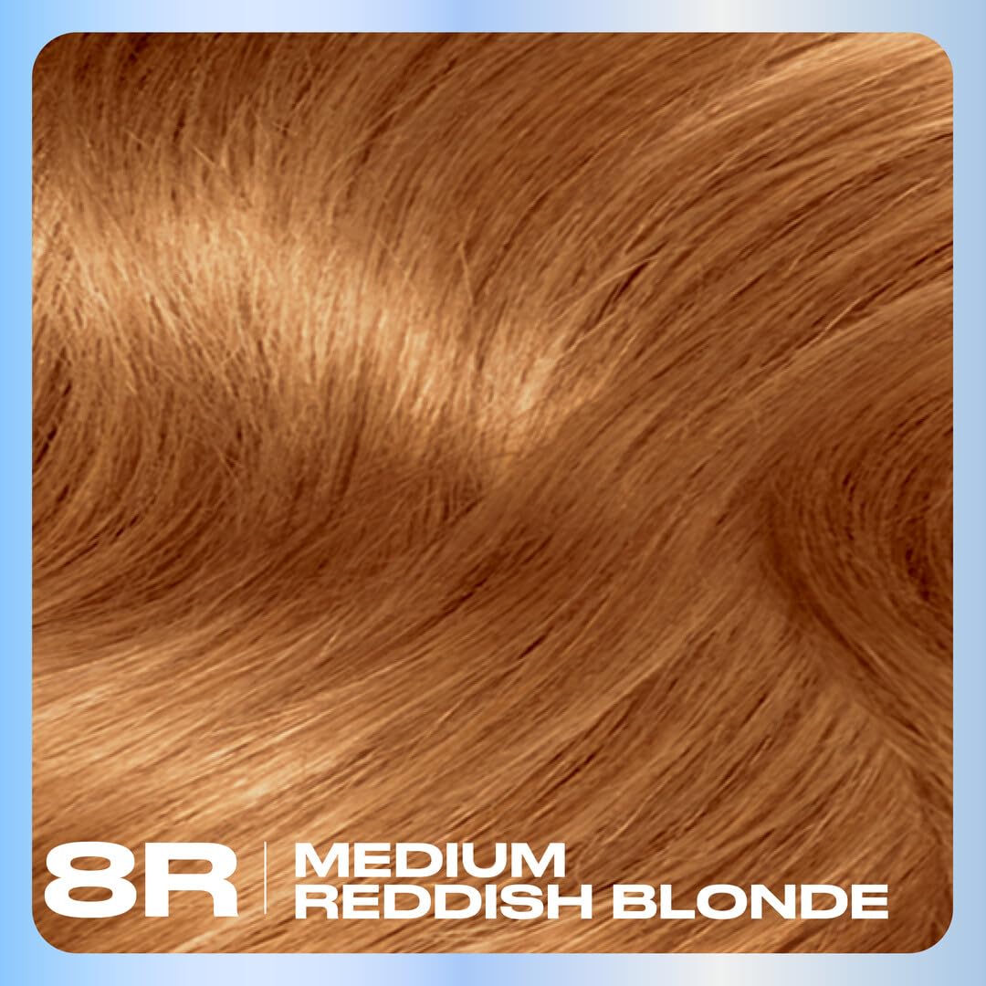 Clairol Nice'n Easy Permanent Hair Dye, 8R Medium Reddish Blonde | 100% Gray Coverage | Long?Lasting, Natural?Looking Color & Shine | Pack of 1 Beauty & Personal Care Clairol