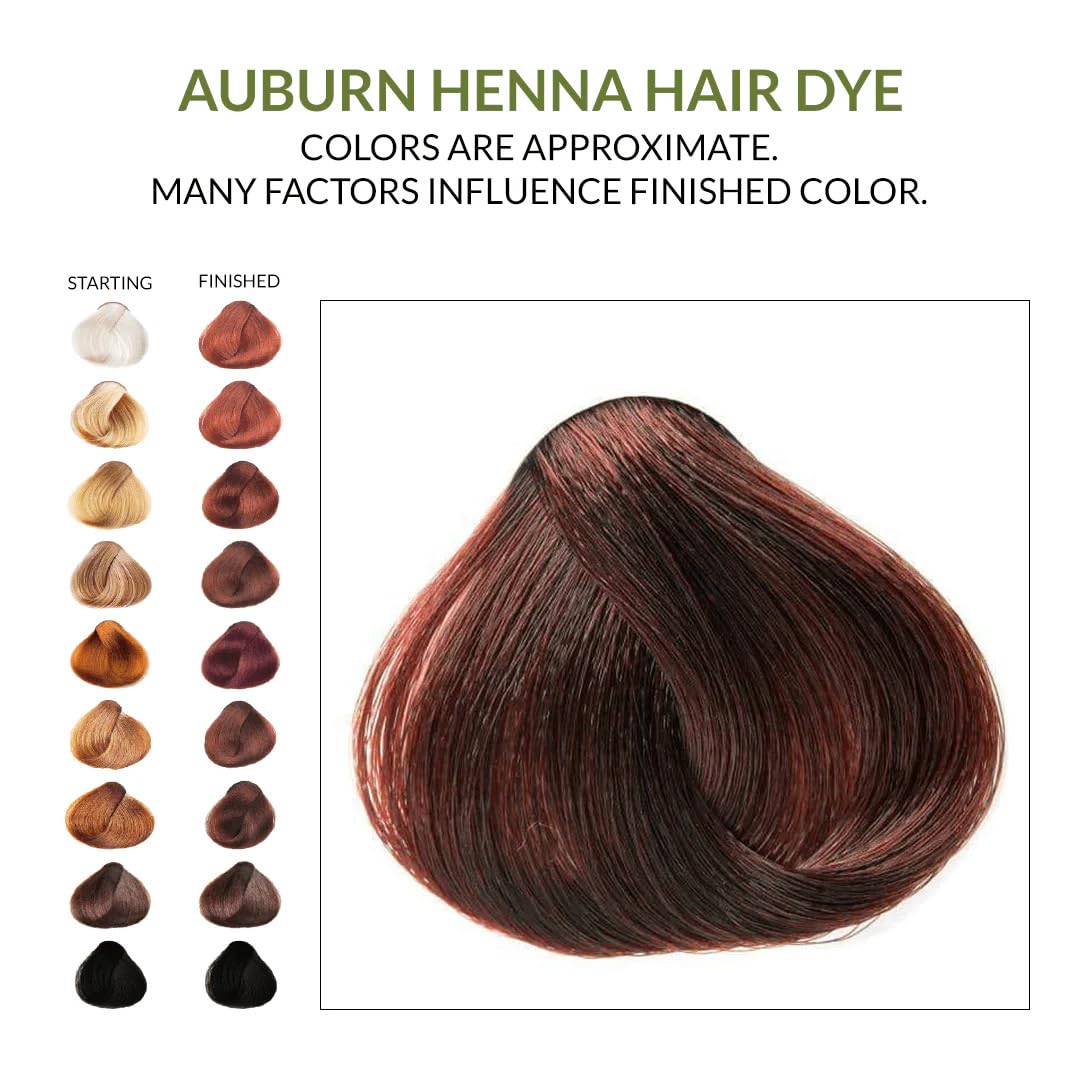 3 Packs Of Auburn Henna Hair & Beard Color/Dye 100 Grams - Natural Hair Color, Plant-based Hair Dye - The Henna Guys Beauty & Personal Care The Henna Guys