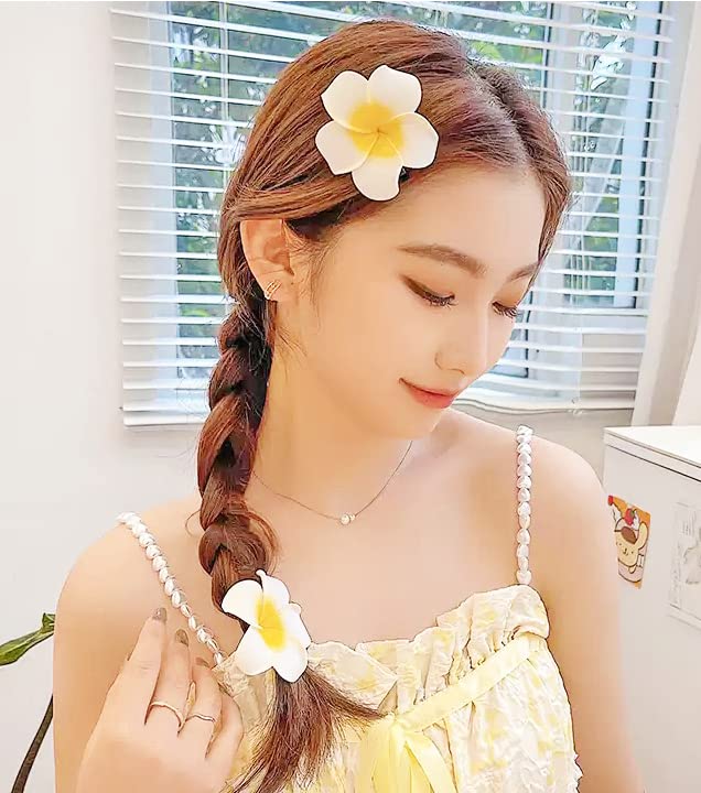 2.5" Hawaiian Hair Flower Clip Hair Barrettes for Women.Hair Buckle 4 Moana Luau Hawaiian Dresses for Women-6pc Hair Clips for Thin Hair,Hair Clips Beauty & Personal Care HipGirl