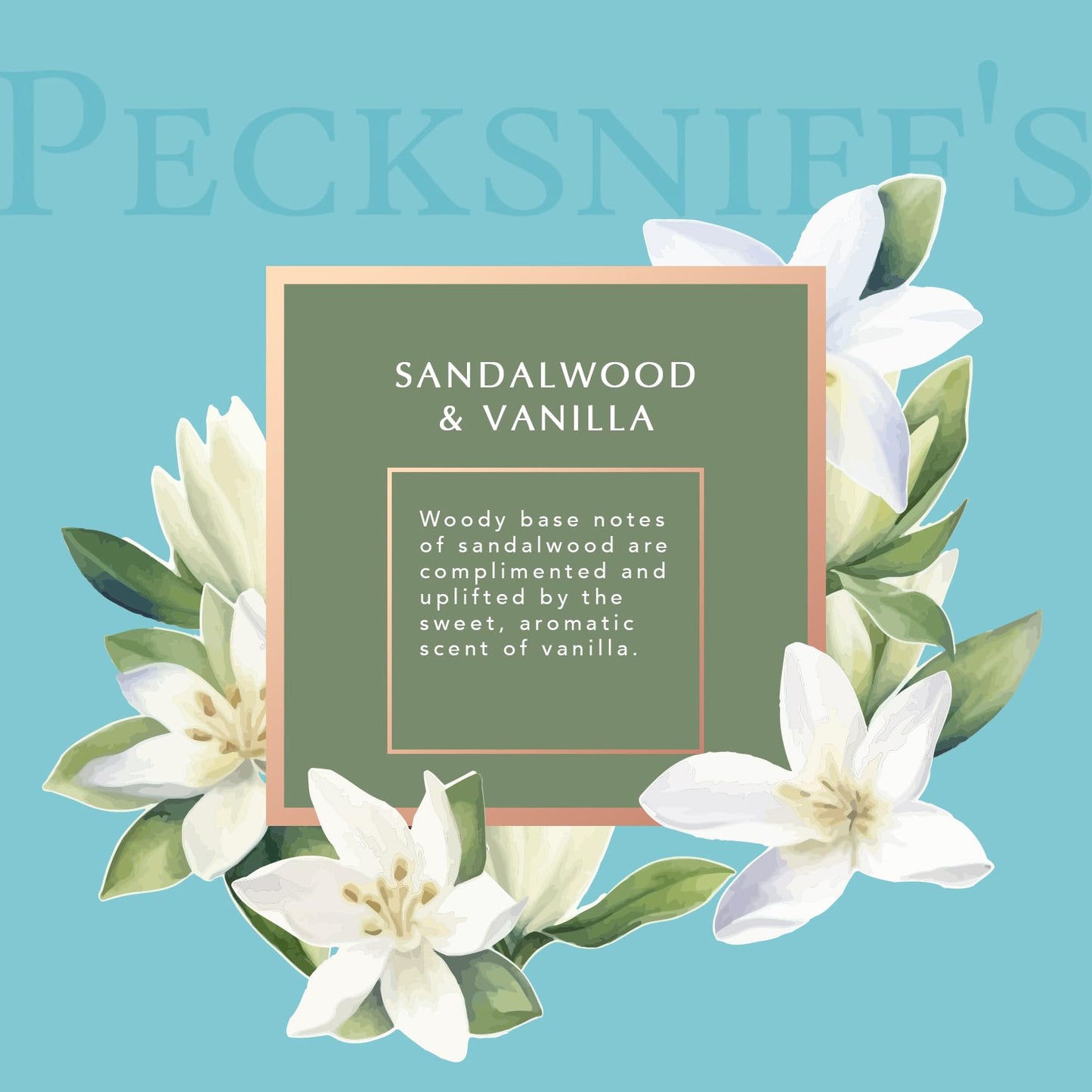 Pecksniff's 1L Shower Gel (CORE) Sandalwood Vanilla Beauty & Personal Care Pecksniff's