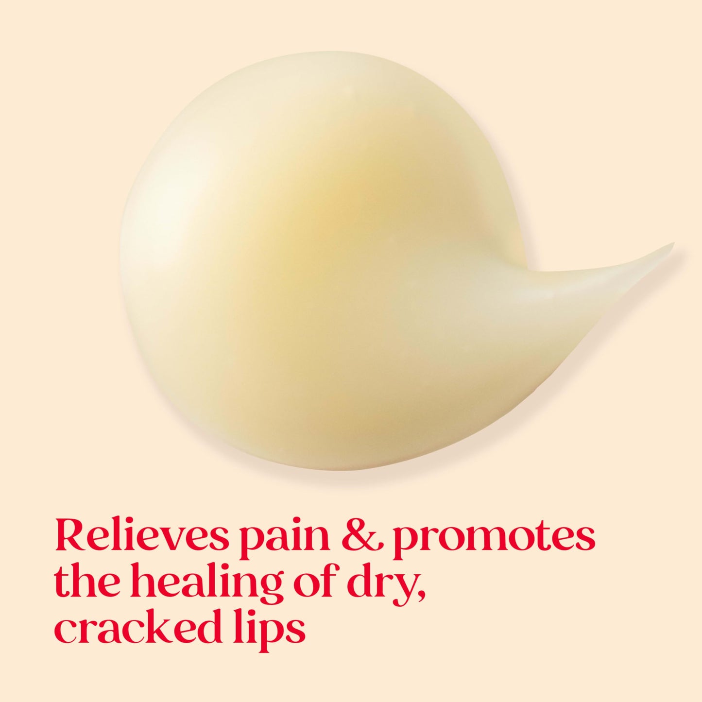 Burt's Bees Cold Sore Treatment and Medicated Lip Balm, With Menthol and Eucalyptus Oil, Natural Origin Skincare, 2 Tubes, 0.07 oz./0.15 oz. Beauty and Personal Care Burt's Bees