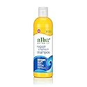 Alba Botanica Repair & Refresh Shampoo, Ocean Surf, 12 Oz Beauty & Personal Care Alba Botanica