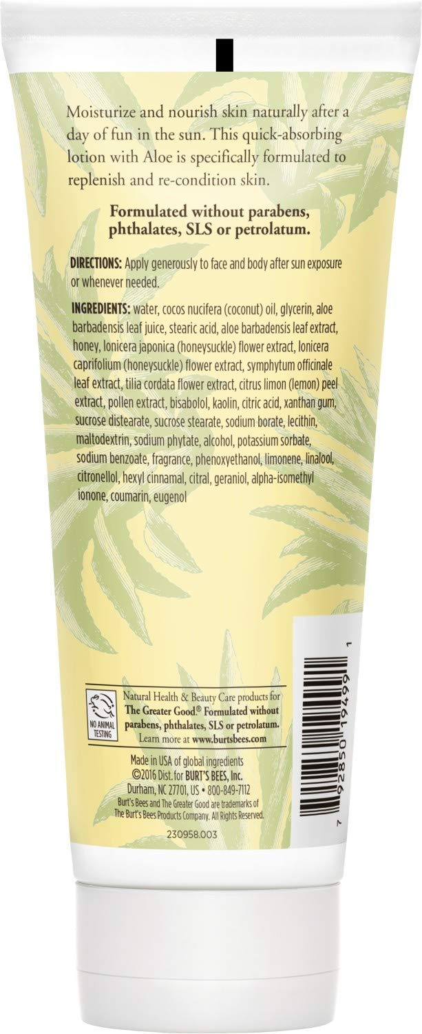 BURTS BEES Aloe After Sun Soother, 6 FZ Beauty & Personal Care Burt's Bees