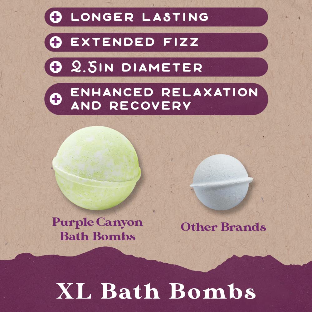 Purple Canyon Eucalyptus Bath Bombs for Women - Energizing Mint and Eucalyptus Bath Bomb with Natural Essential Oils - Gift Set of 6 Beauty and Personal Care PURPLE CANYON