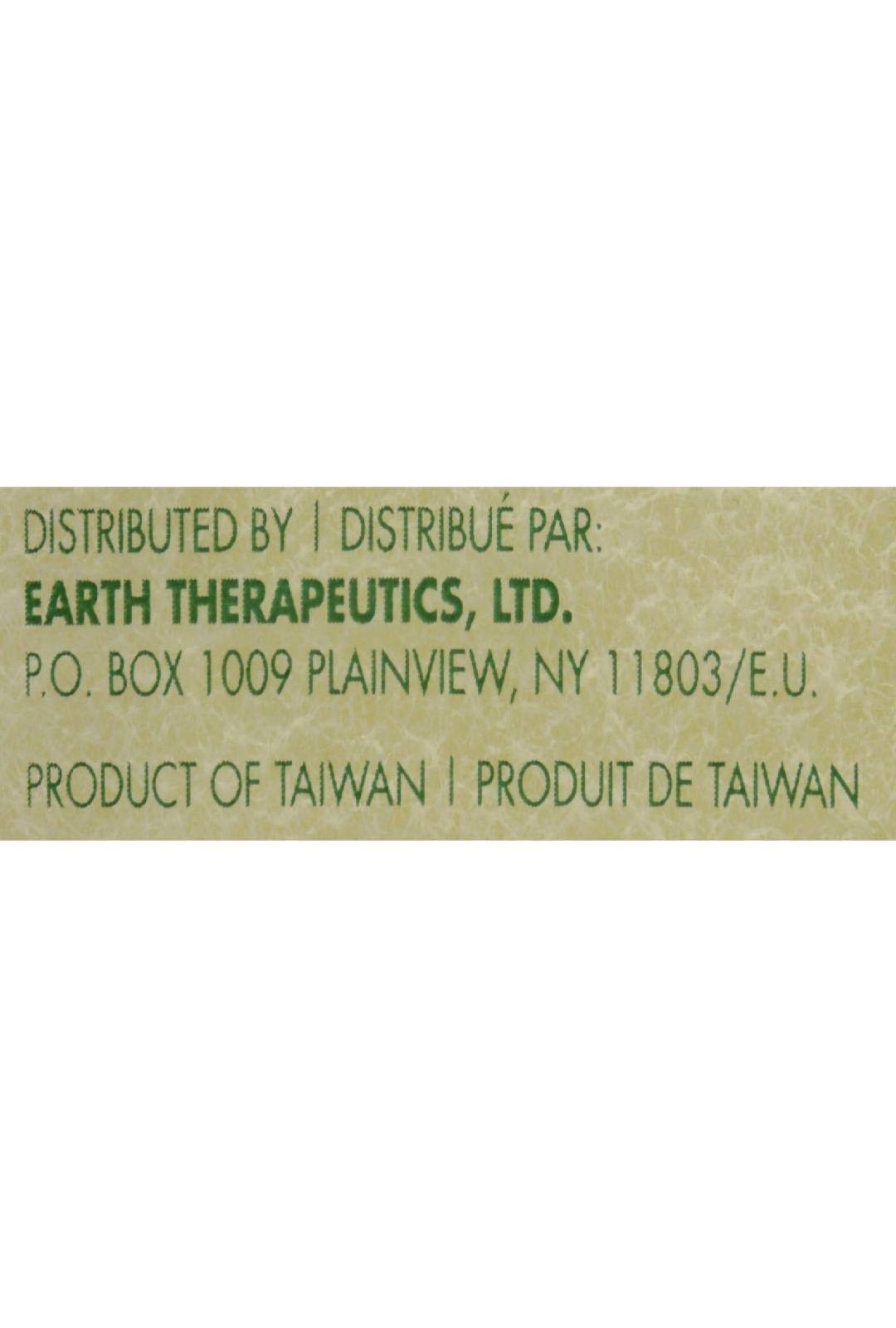 Earth Therapeutics Exfoliating Body Sponge, 1 EA Beauty and Personal Care Earth Therapeutics