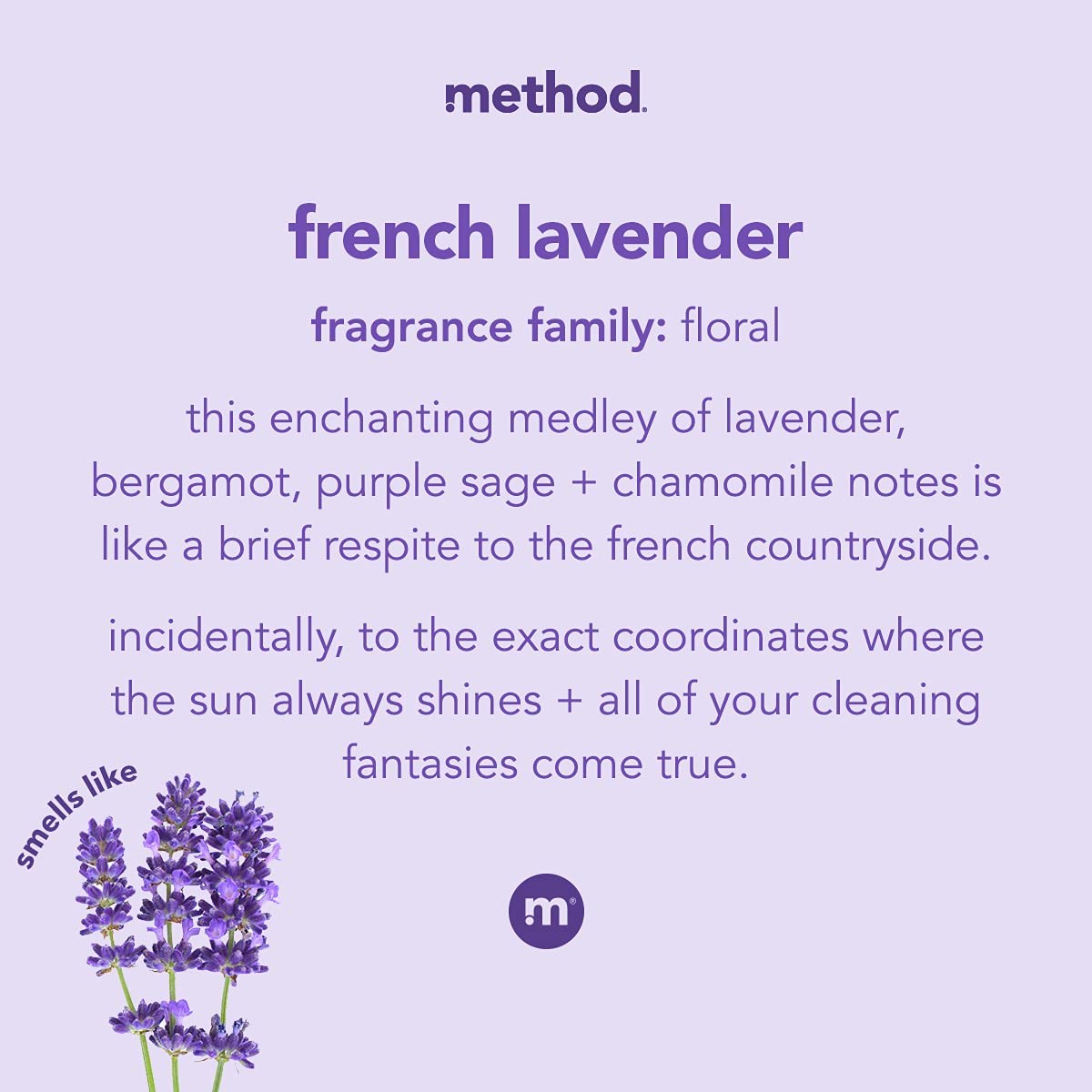 Method Foaming Hand Soap, French Lavender, 10 Fl Oz. (Pack of 5) Beauty & Personal Care Method