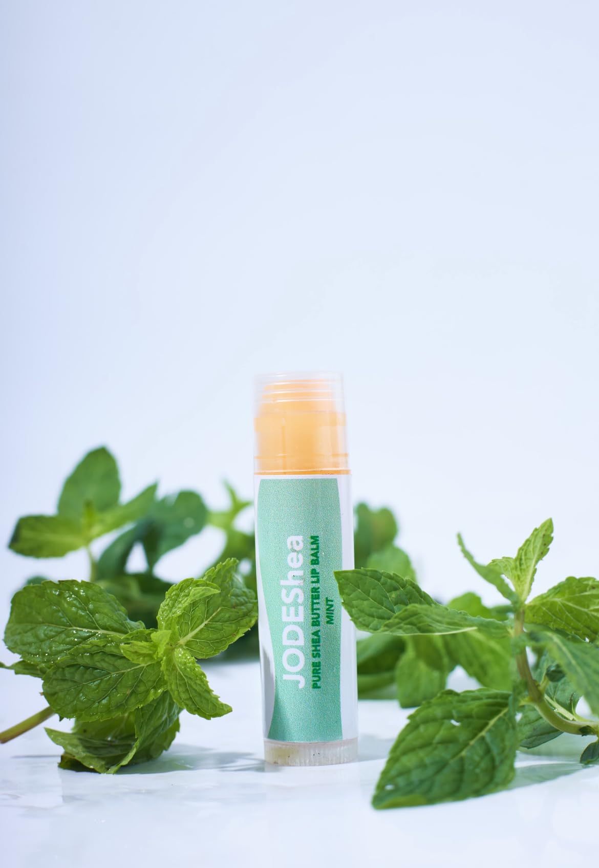 JODEShea Pure Shea Butter Lip Balm, MINT, Natural Soothing Formula Beauty and Personal Care JODEShea