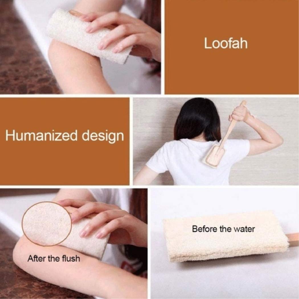 YingRen Exfoliating Brush-Shower Bath Sponge-Useful Natural Exfoliating Loofah Luffa Loofa Back Sponge Scrubber Brush with Long Wood 1 Pcs Beauty and Personal Care YingRen