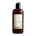 Just Nutritive Thicker Hair Shampoo | Hair Thickening | Hair Growth Thickening Shampoo | Grow Thick Hair | Hair Thickening Treatment for Men and Women Beauty & Personal Care Just Nutritive