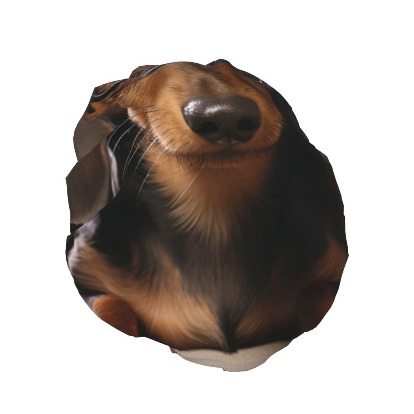 Dachshund Book Shower Cap For Women Reusable Double Layers Bathing Bath Cap Hair Caps Waterproof Elastic Band Ladies Spa Salon Shower Hat Hair Caps Beauty and Personal Care GDSHJKLW
