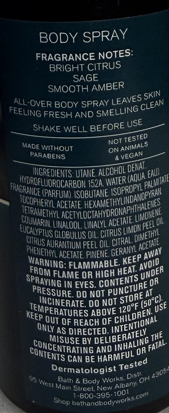 Bath & Body Works Football Season Men's Body Spray 3.7 Ounces Beauty & Personal Care Bath & Body Works
