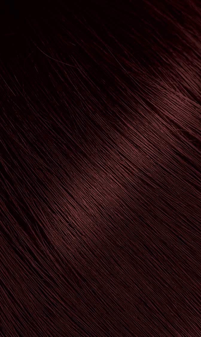 #37 Dark Auburn Bigen Permanent Powder - 6 Pack Beauty & Personal Care Bigen