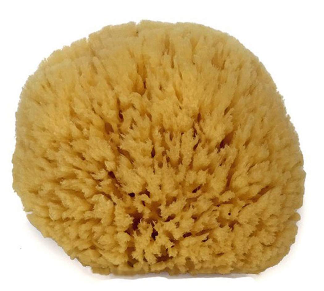 Natural Sea Sponge 6-7" by Spa Destinations Creating The At-Home Spa Experience Beauty and Personal Care Spa Destinations