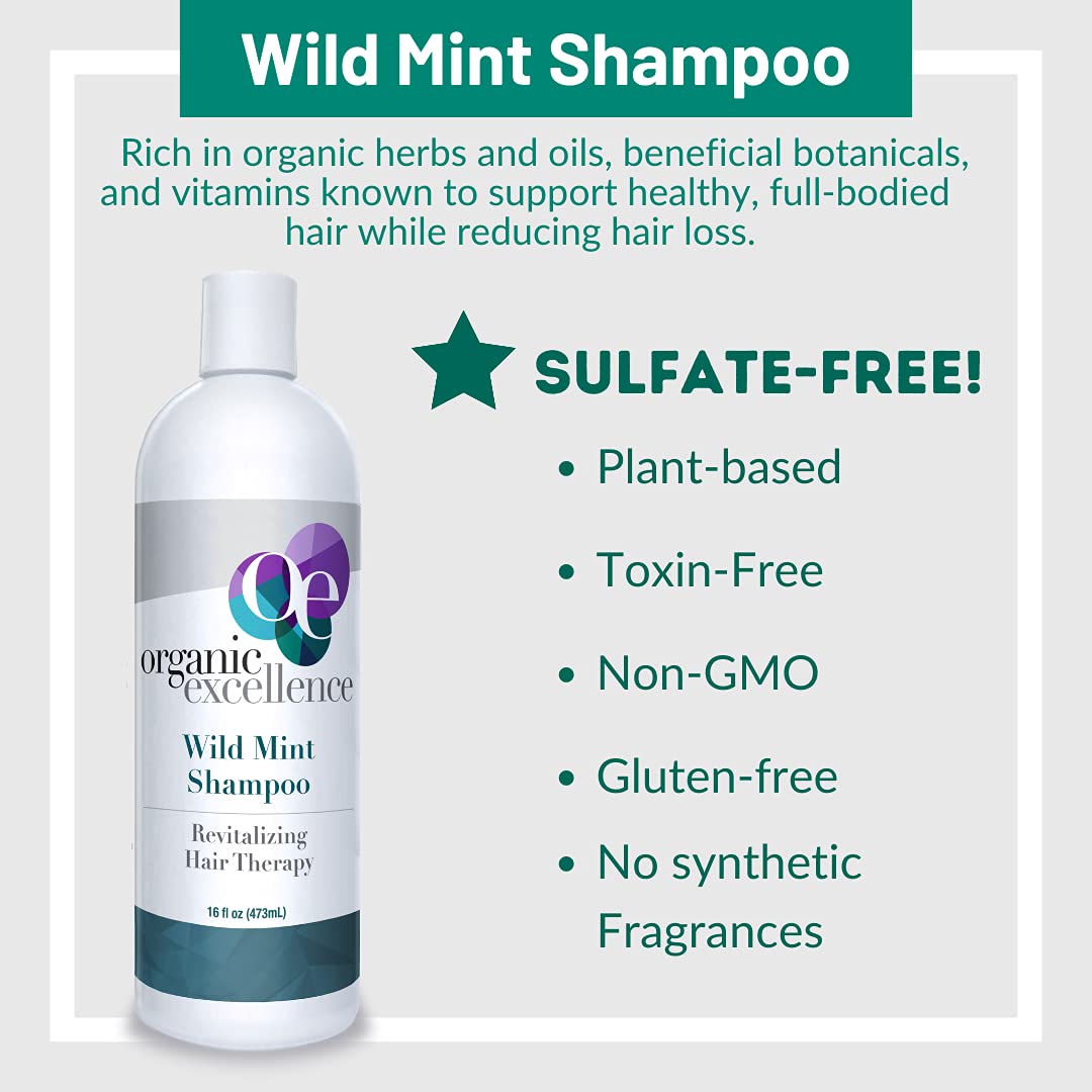 Organic Excellence Mint Shampoo, 16-Ounces (Pack of 2) Beauty & Personal Care Organic Excellence
