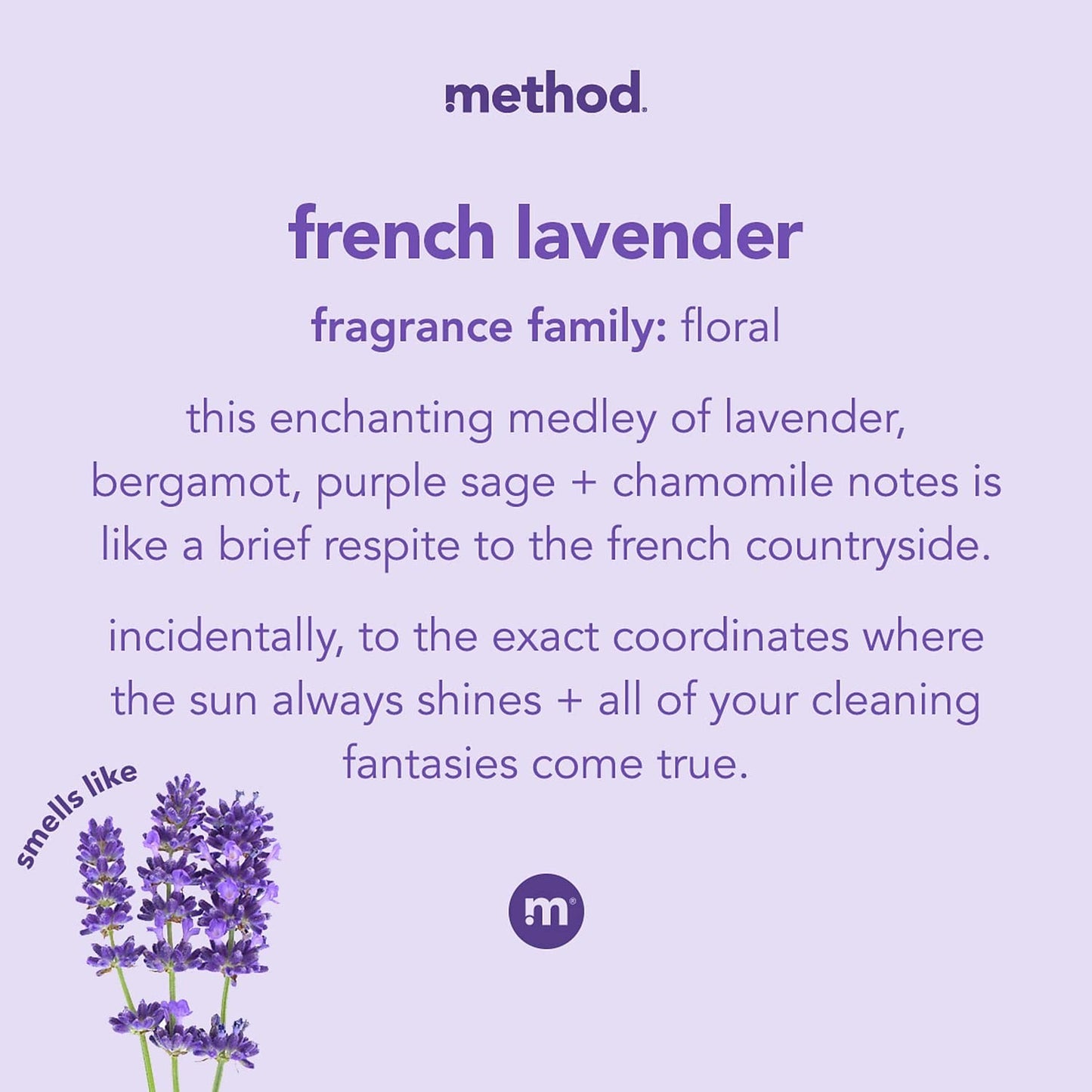 Method 00031 12 Oz French Lavender Hand Wash Beauty & Personal Care Method