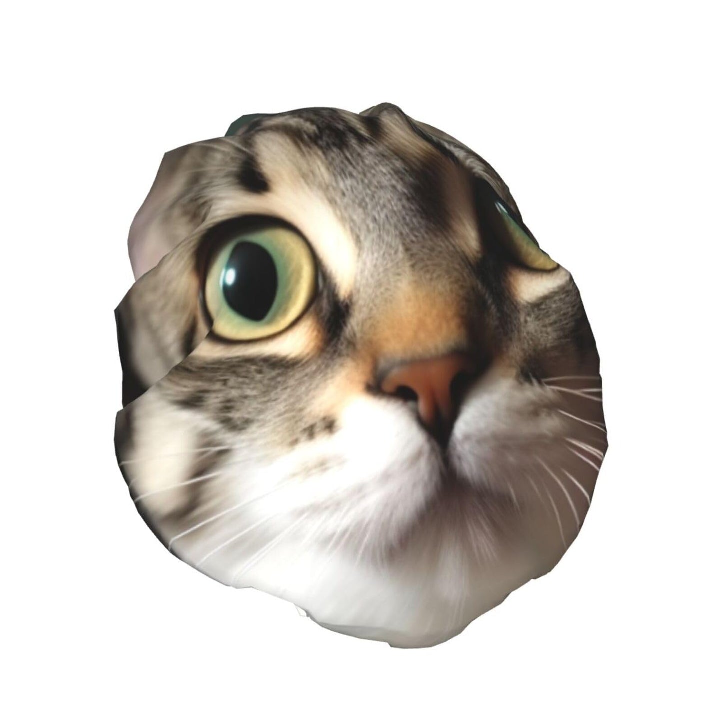 A curious cat Shower Cap for Women Men Large Reusable Shower Bonnet Double-Layer Waterproof Bath Caps Elastic Band Hair Hat for All Hairstyles Beauty and Personal Care BWLHJKE