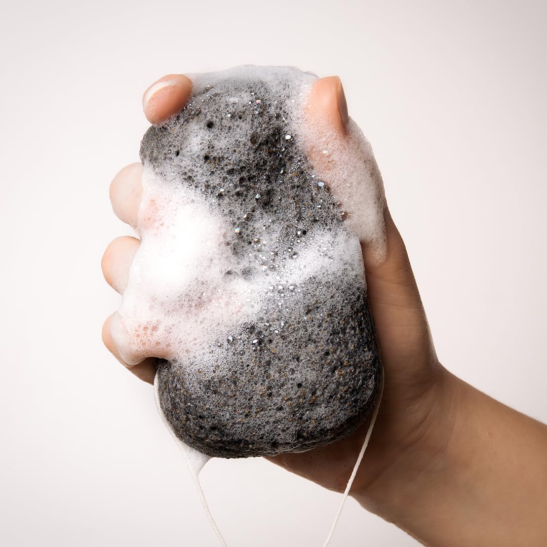 Everist The Exfoliating Konjac Body Sponge, Natural, Reusable, Compostable Bath Sponge for Sensitive Skin, Charcoal Cleansing, 60+ Uses, 1 Each Beauty and Personal Care Everist