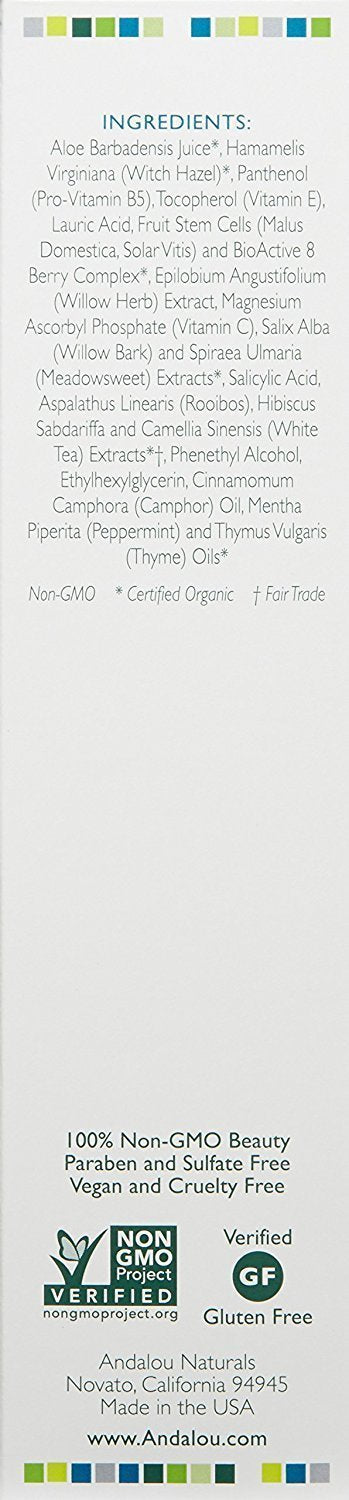 FACE PORE MINIMZR ALOE+WILLOW Beauty & Personal Care Andalou Naturals