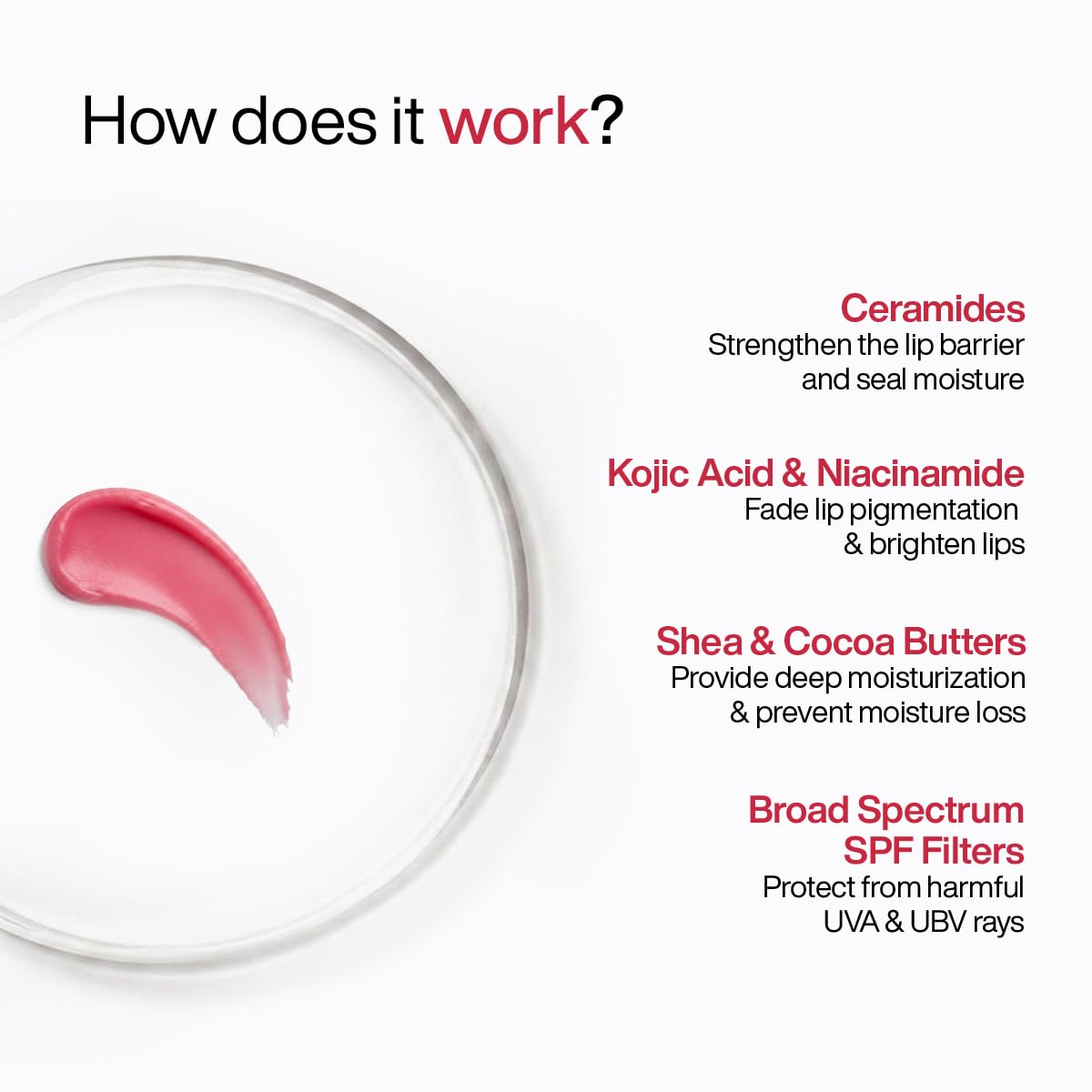 WishCare Tinted Lip Balm with SPF 50 PA+++ - Enriched with Niacinamide, For Women, 5g Beauty and Personal Care WishCare