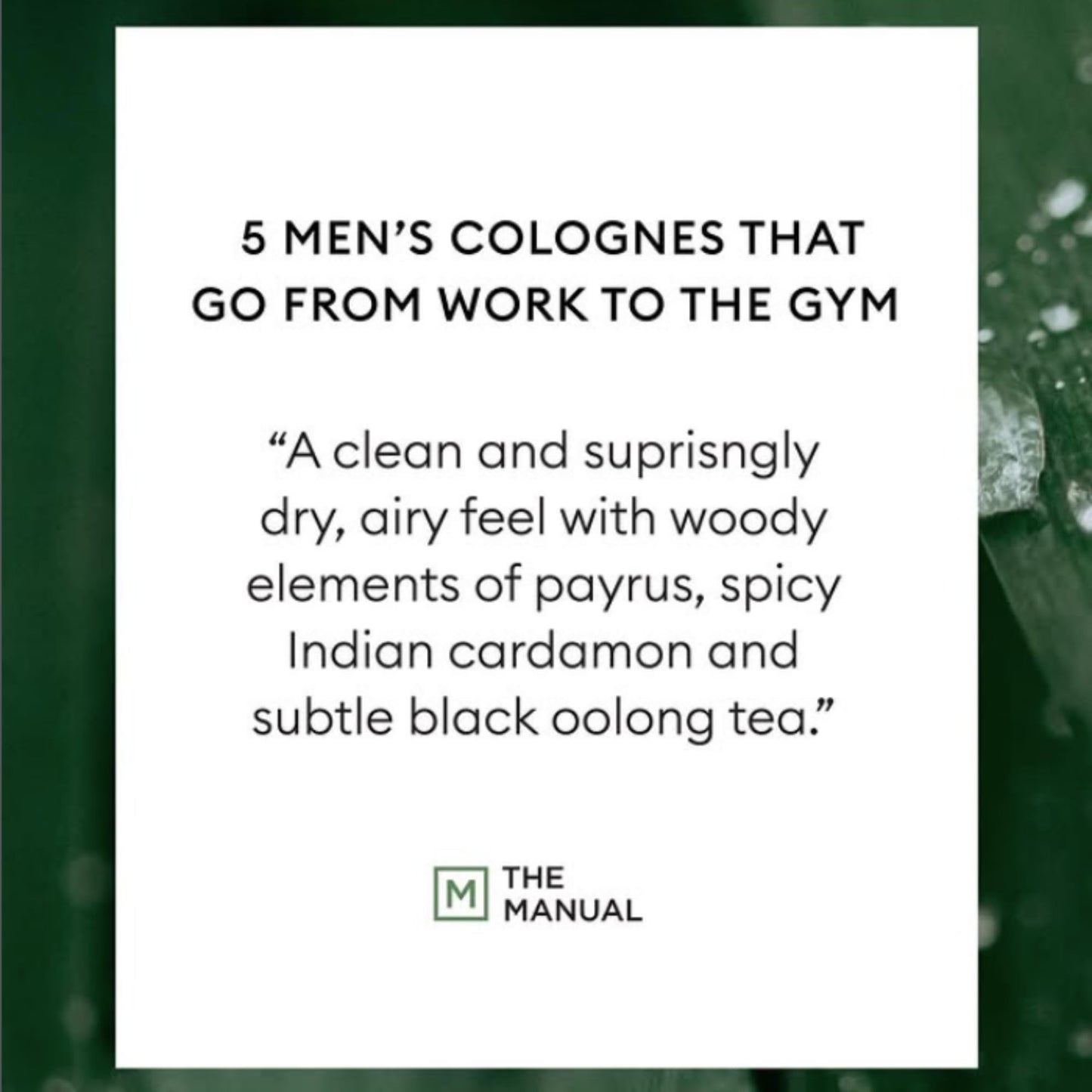Fine'ry Jungle Santal Hair + Body Fragrance Fine Mist Spray | Earthy Woody Scent with Papyrus Wood, Indian Cardamom, Black Oolong Tea, Vegan Beauty & Personal Care Fine'ry