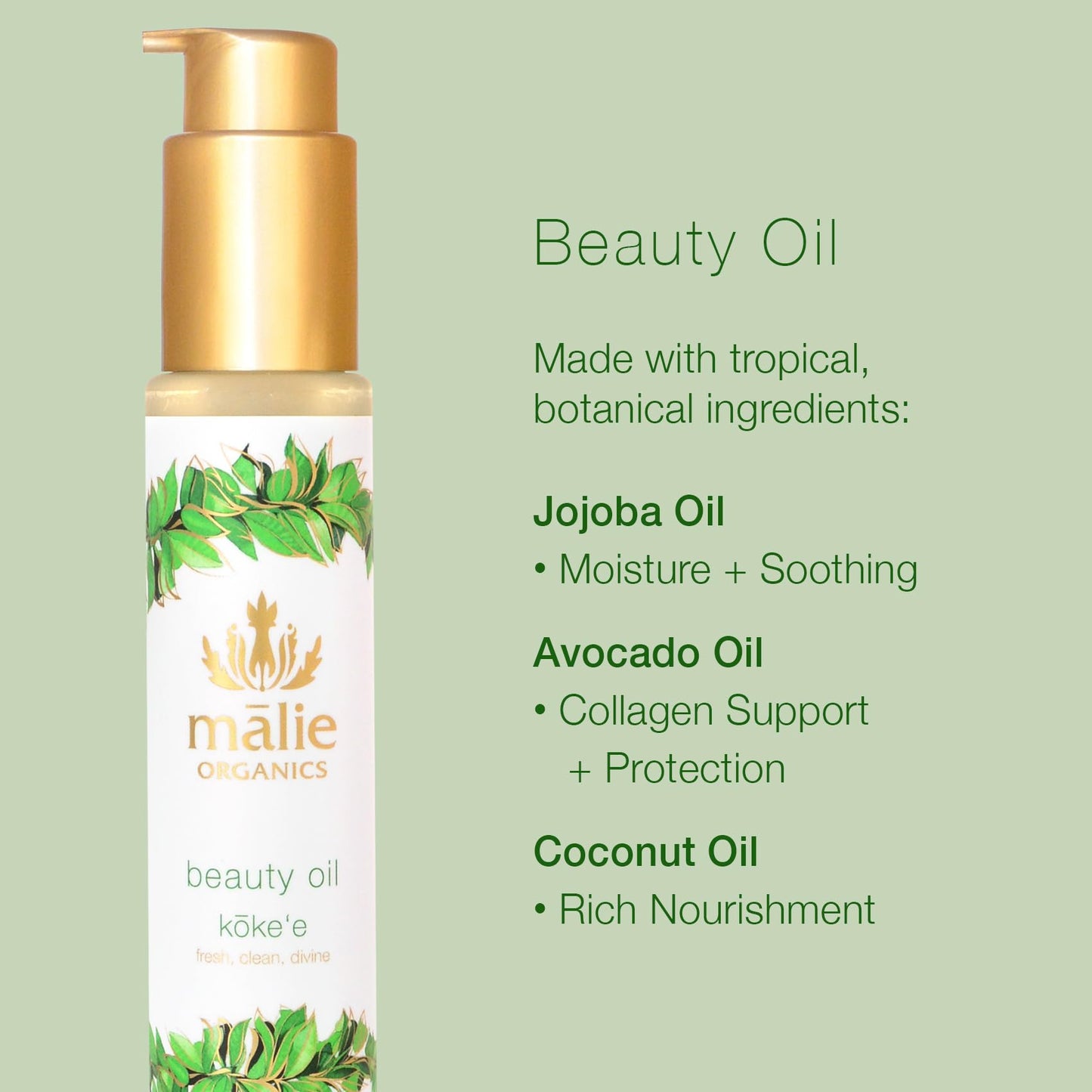 M?lie Organics Beauty Oil, K?ke‘e Scent, Multi-Use Moisturizer for Skin + Hair + Bath, Jojoba + Avocado + Coconut Oils, Vegan, 2.5 oz Beauty & Personal Care Malie Organics