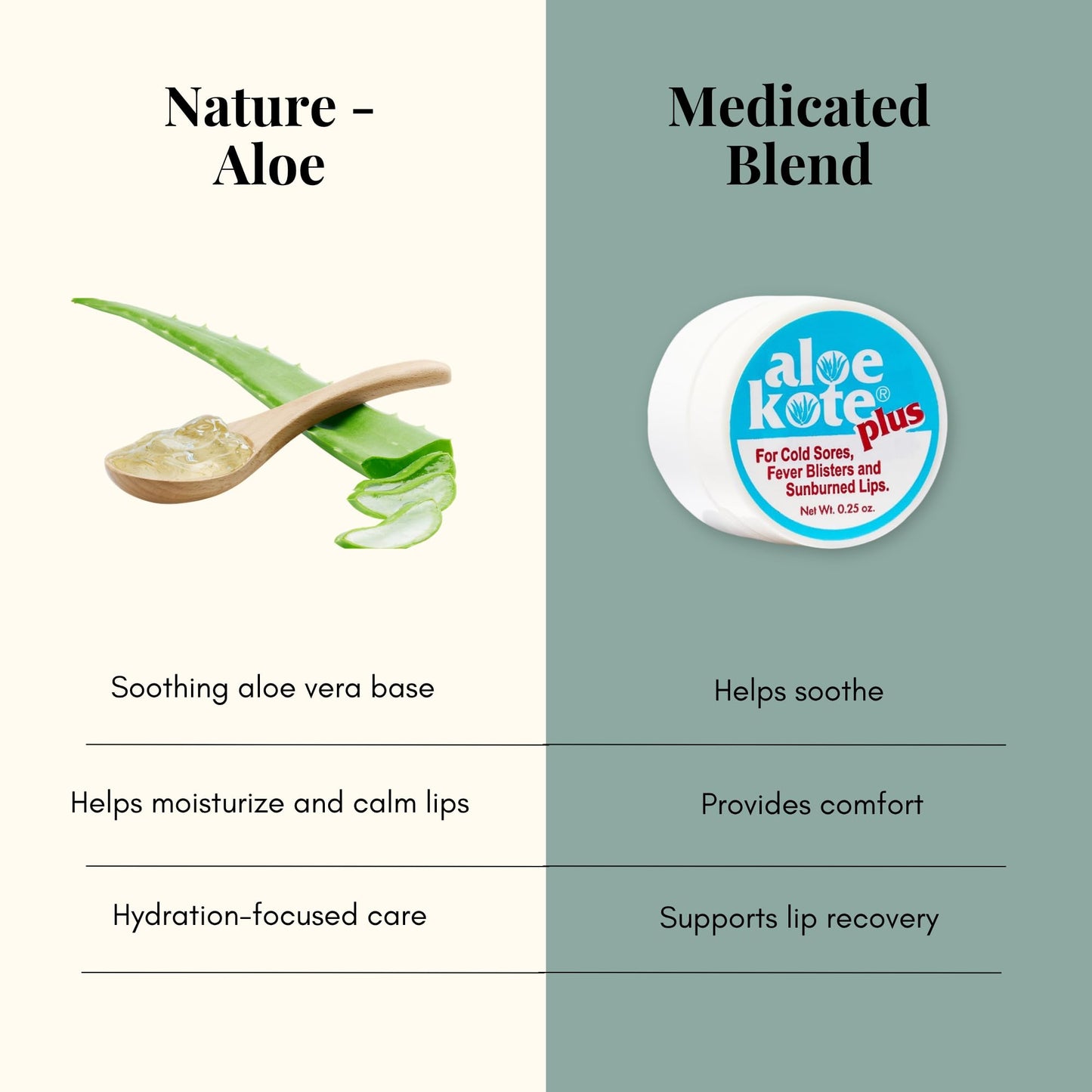 Aloe Kote Medicated Aloe Up Lip Balm - Aloe Vera, Menthol, Camphor & Phenol - Alcohol-Free, Hydrating & Healing Lip Care - For Chapped Lips, Sunburns Beauty and Personal Care ALOE UP