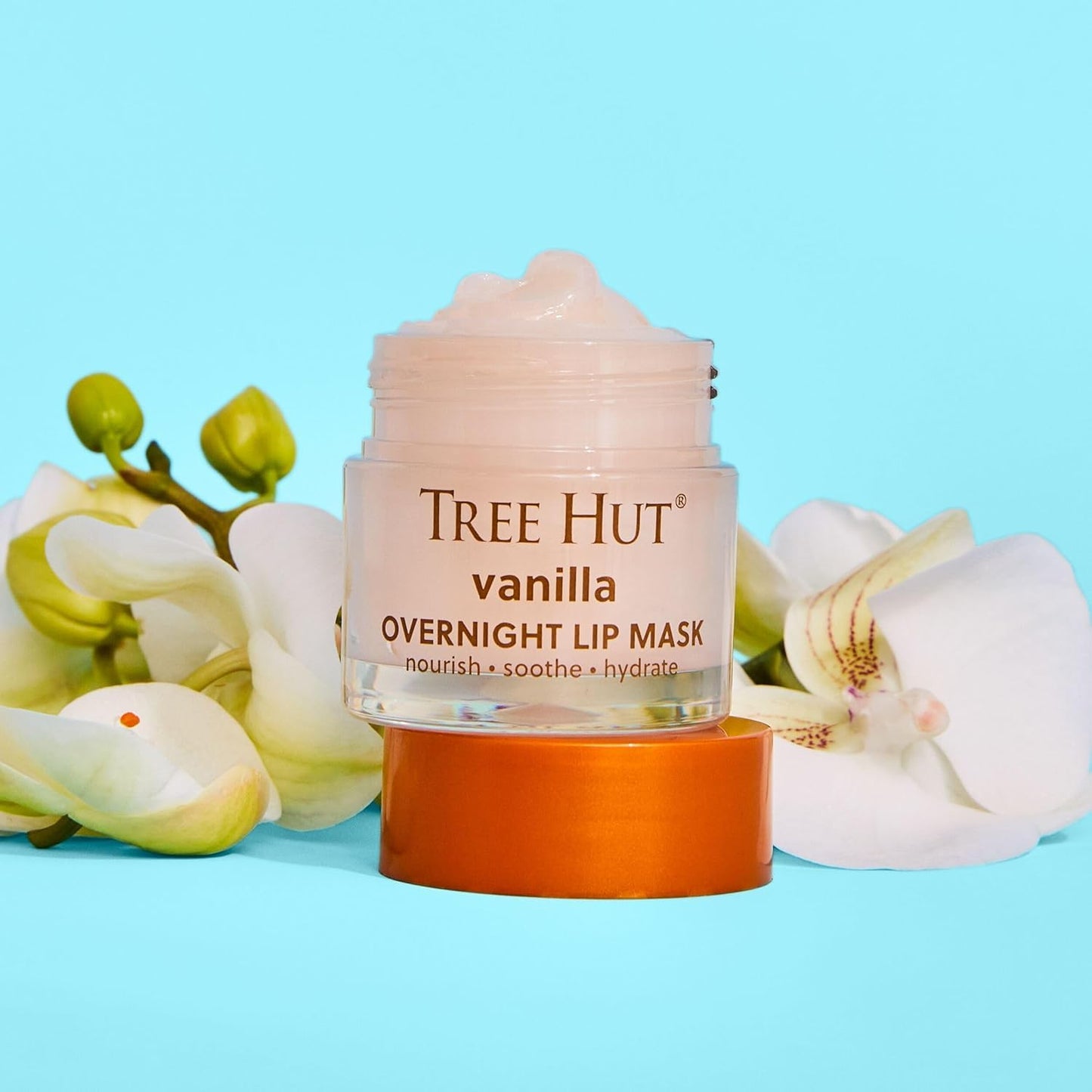 Tree Hut Vanilla Overnight Lip Mask, Hydrating & Moisturizing Lip Treatment with Shea Butter, Vitamin E, Nourishing Lip Care for Soft, Smooth Lips Beauty and Personal Care Tree Hut