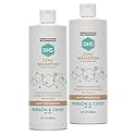 DHS Zinc Shampoo, 16 Oz (Pack of 2) Beauty & Personal Care DHS