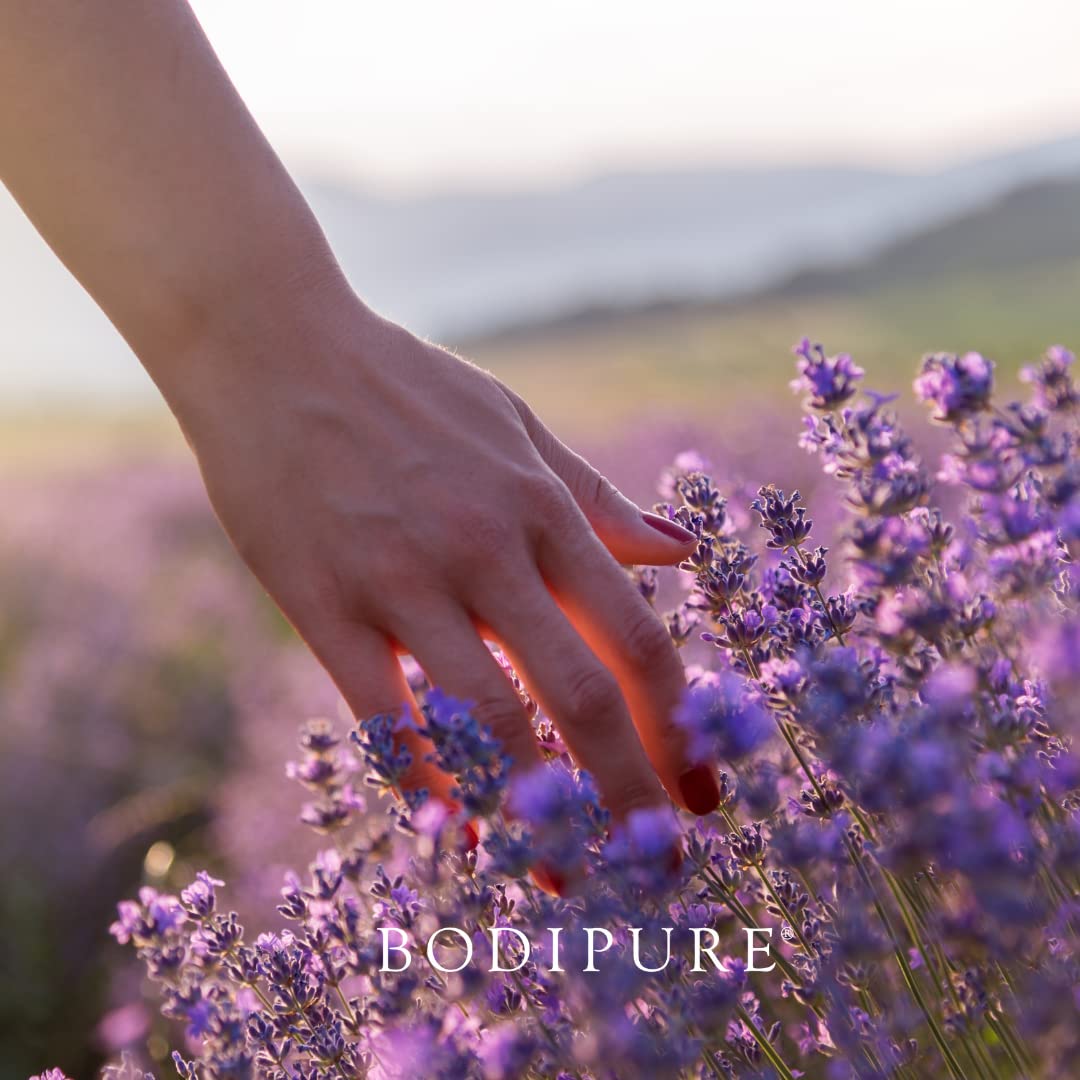 BODIPURE Lavender Aromatherapy Massage Oil for Body - Perfect for Professional Massage Therapy - Rich in Vitamins and Minerals - Skin Hydrating Beauty & Personal Care Bodipure