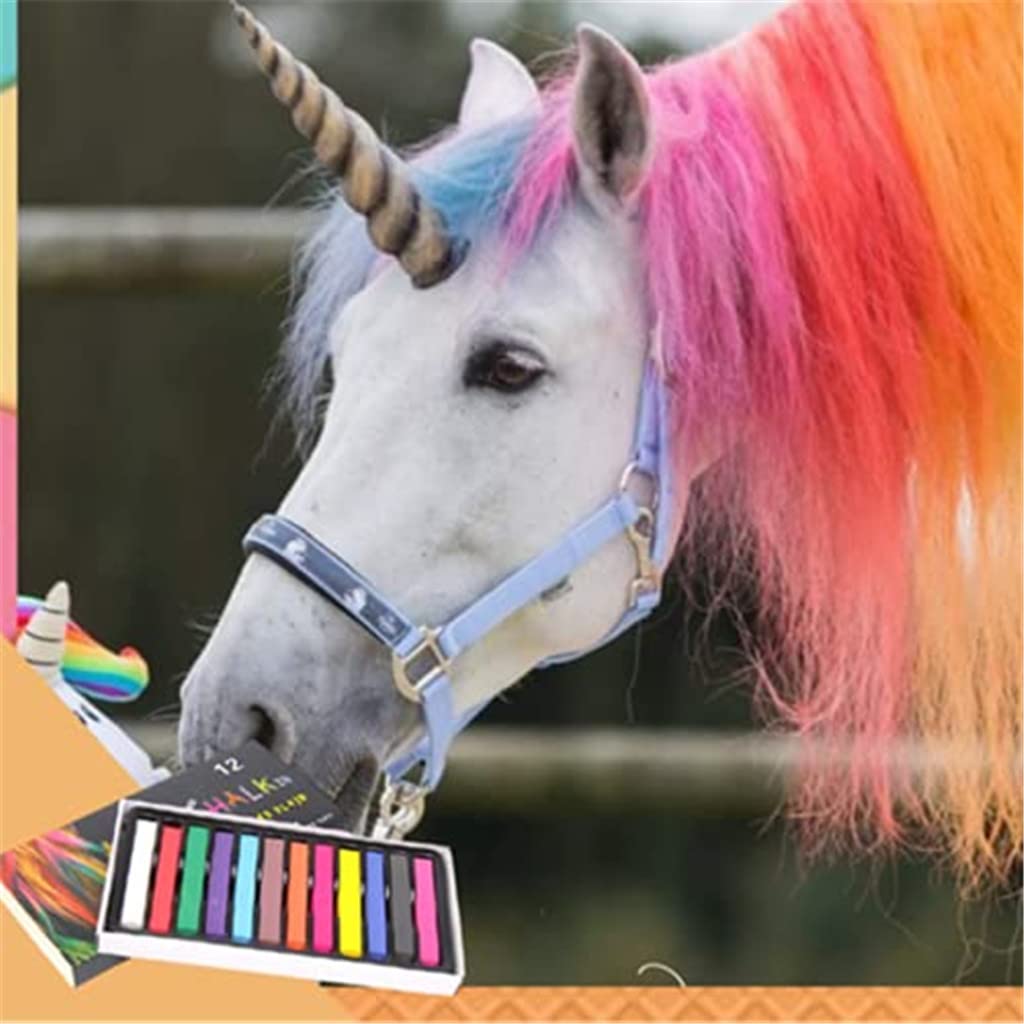 Glam Equine Hair Chalk Set, 24 Colors Temporary Washable Hair Dye for Kids, Pets, Horses & Styling Beauty & Personal Care Snowstaring